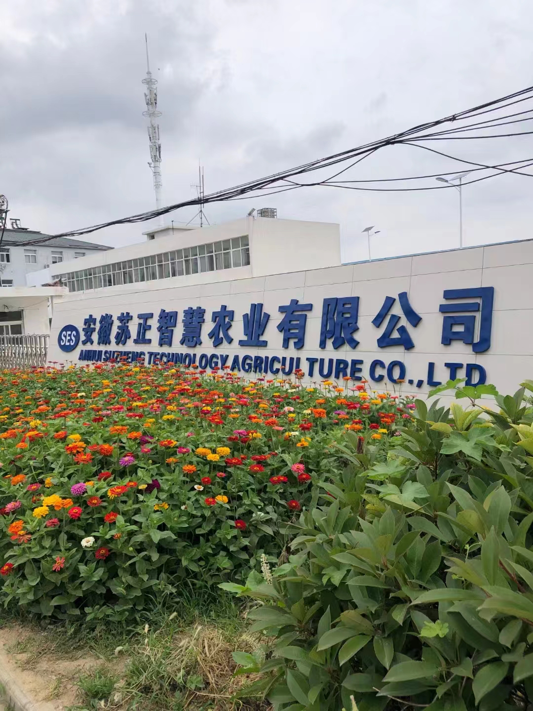 【要聞】熱烈歡迎安徽省蚌埠市馬軍市長(zhǎng)一行蒞臨工廠指導(dǎo)工作